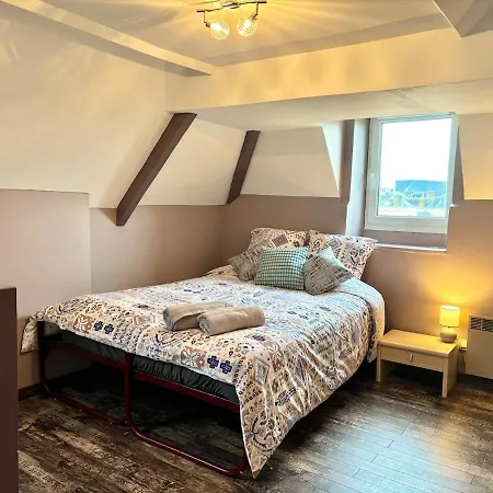 Daire Le Fouquet - T3 Duplex Panorama D'exception Sur La Mayenne